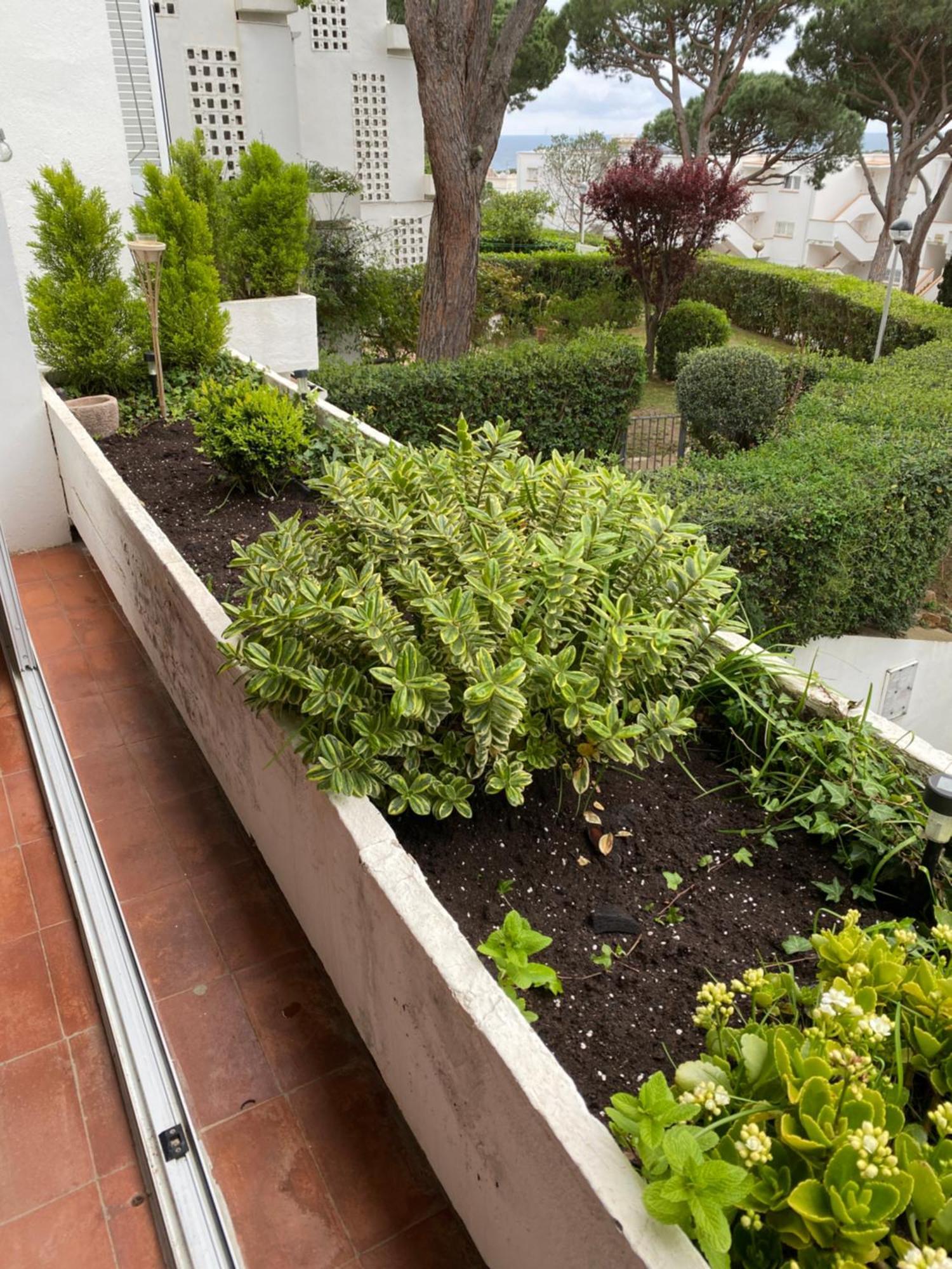 Apartamento Politur Platja d'Aro  Exterior foto